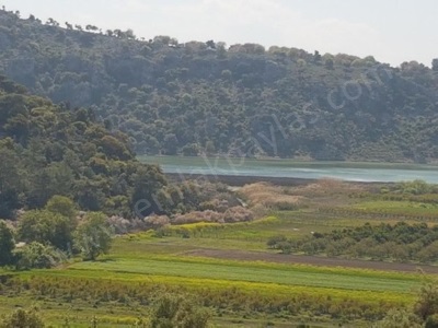 Muğla Dalaman Kapıkargında Göle Sıfır Hazine Si – Zilliyet Devri Edilecek  Satılık Arazi
